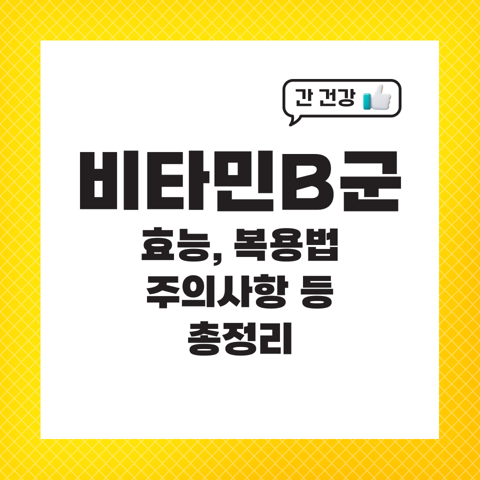 비타민 B 효능 하루 권장량 영양제 복용법