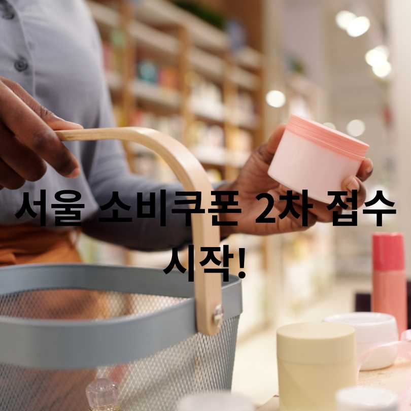 서울 소비쿠폰 2차 접수 시작!