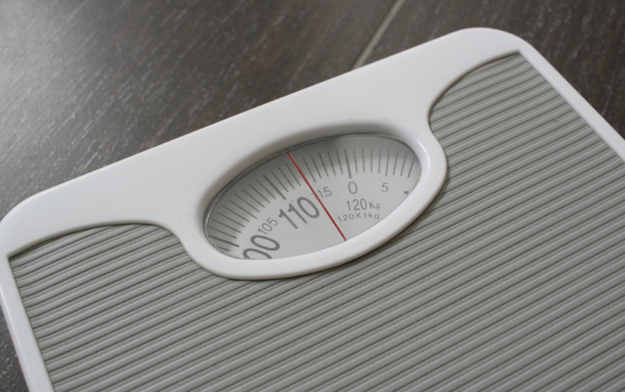 여자 바디프로필 체지방률 평균과 낮추는 방법