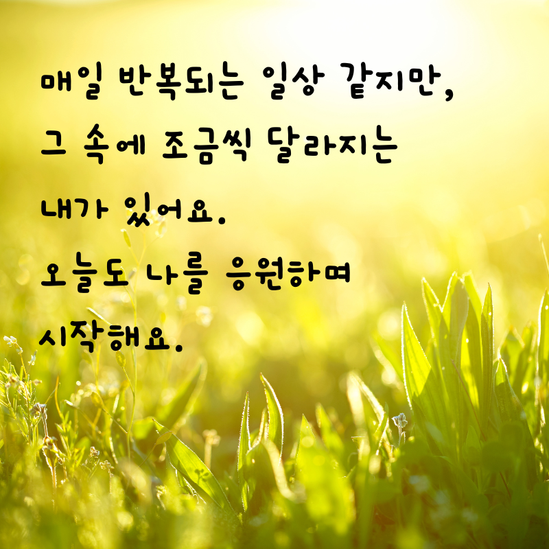 기분 좋은 아침 인사말 문구 이미지 모음