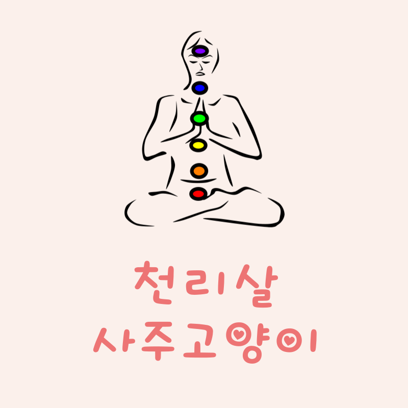 천리살이란