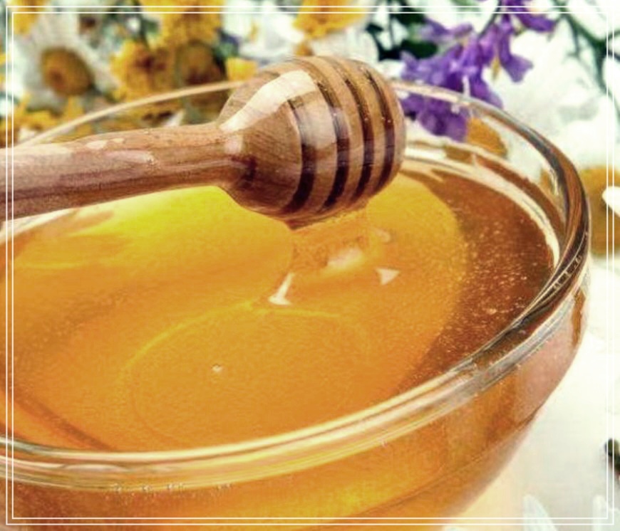 피나무꿀 효능 먹는방법 총정리.