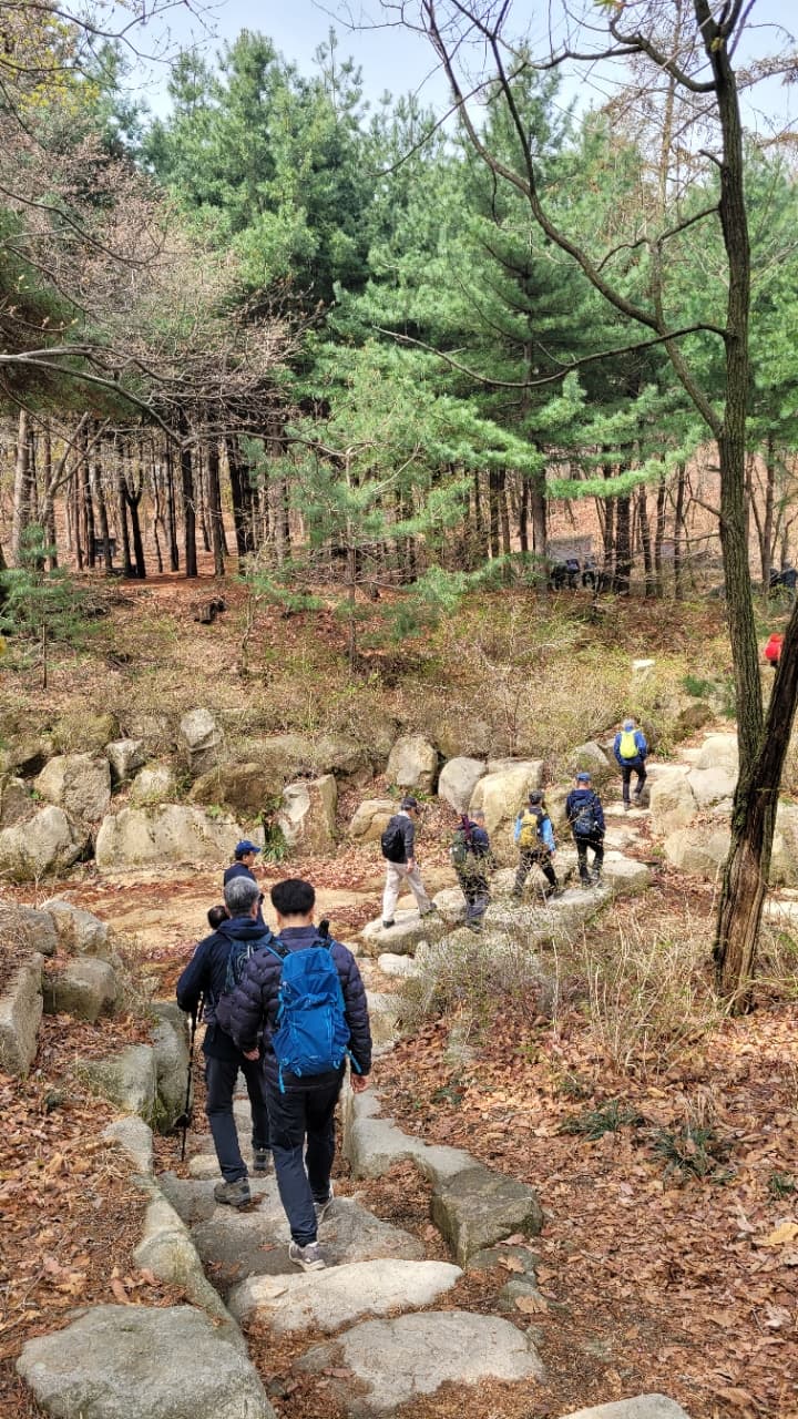 호암산 숲길 – 걷기 좋은 코스