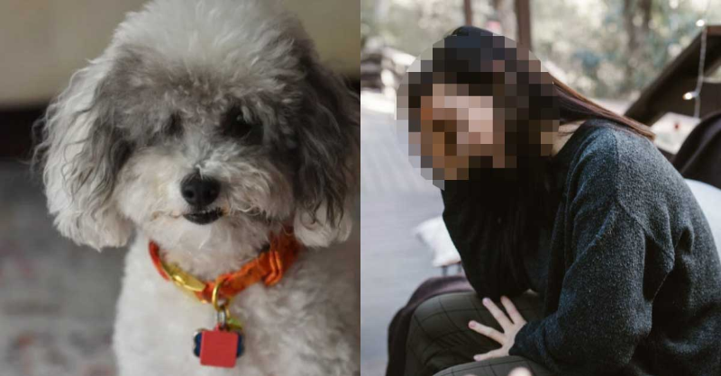 강아지와 이마에 손을 올린 여자