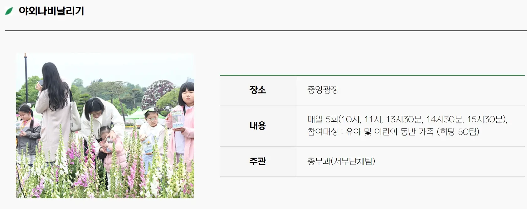 함평나비축제 기간, 주차장, 행사내용