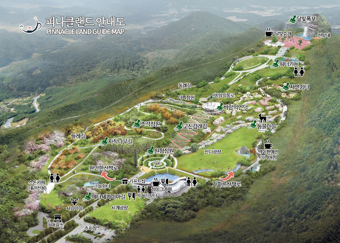 충남 아산의 봄, 튤립과 수선화가 가득 2025 피나클랜드 봄꽃대향연