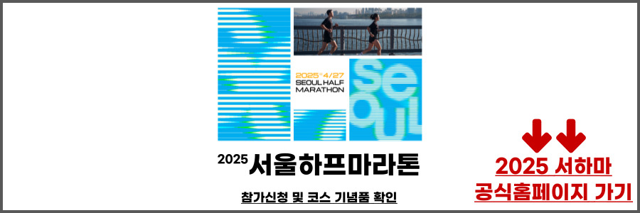 서울하프마라톤 2025