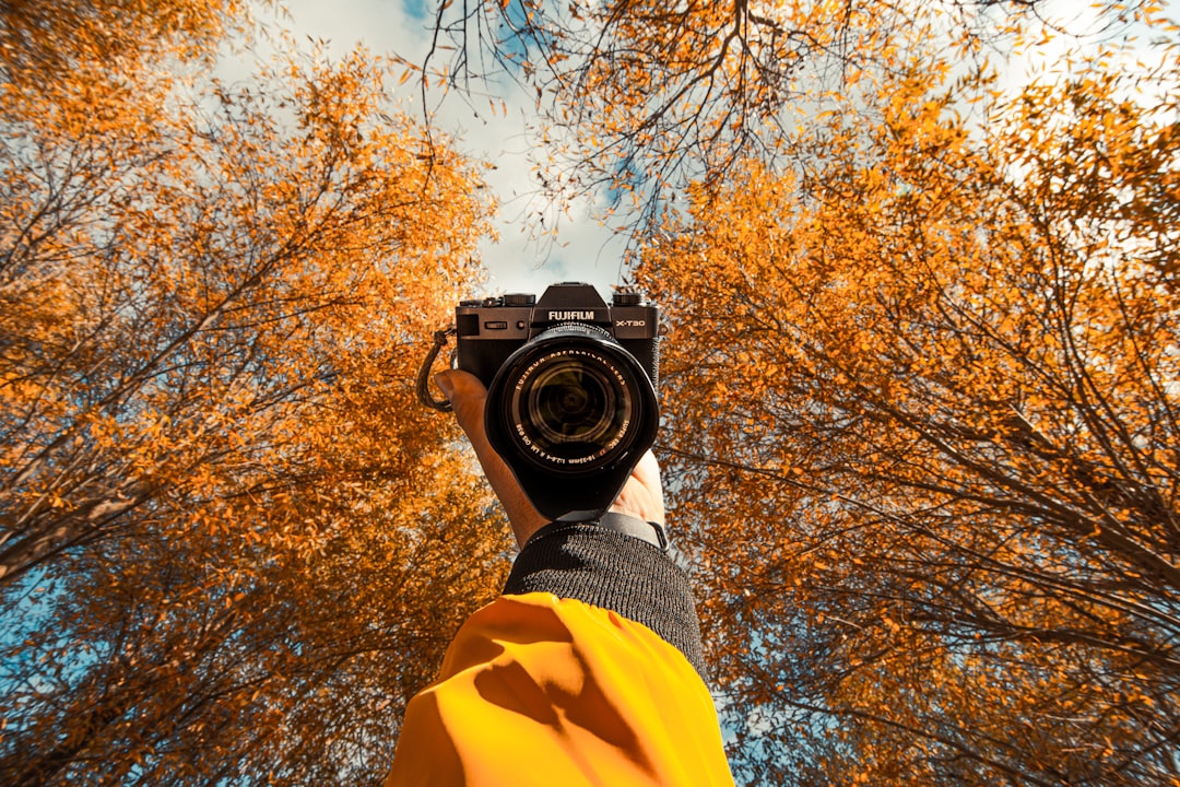 촬영 포인트를 영어로 Photography Spot이라고 추천합니다.