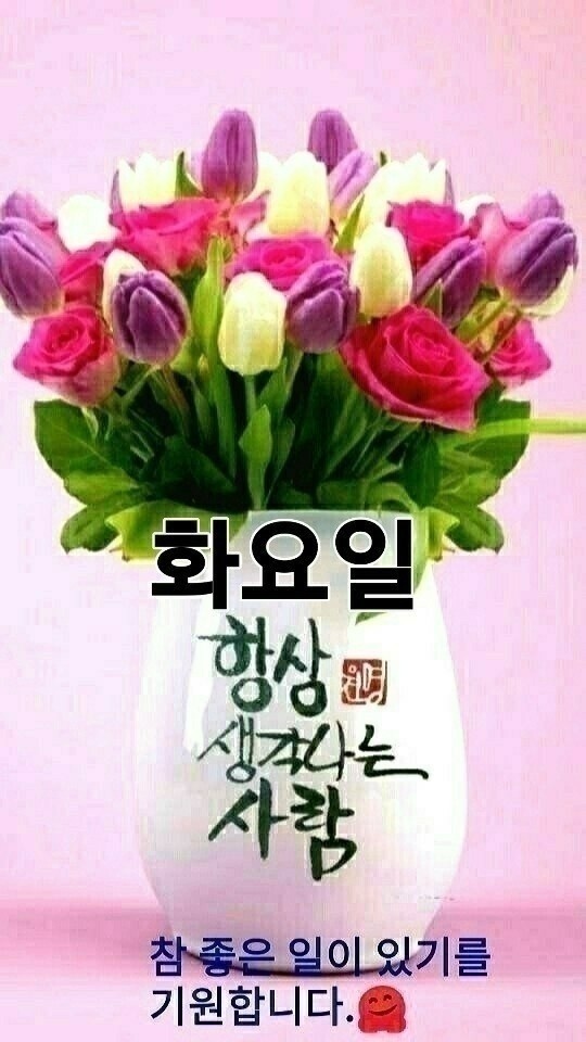 3. 화요일 인사말 9