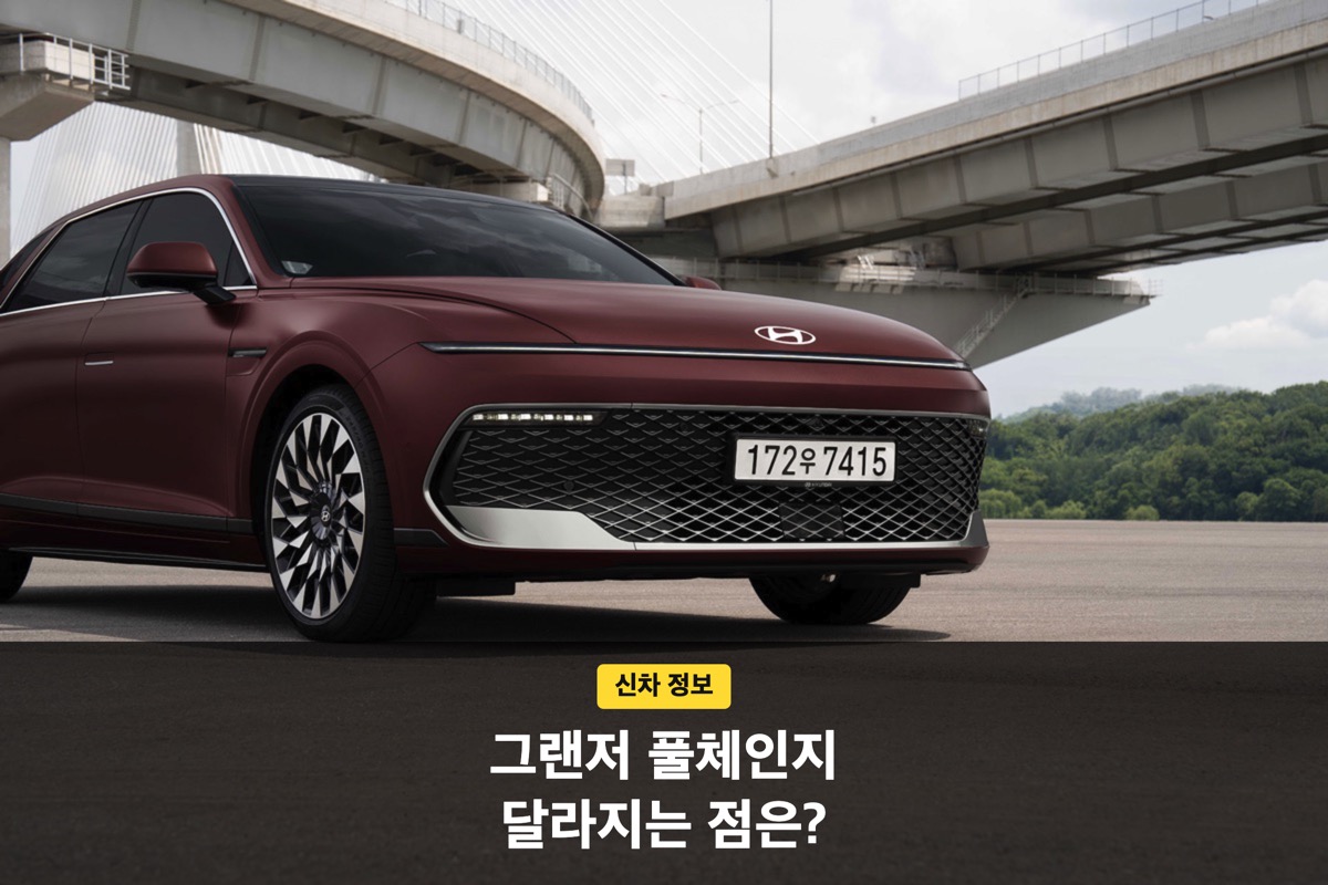 다리 아래 서 있는 버건디색 그랜저 전면 모습