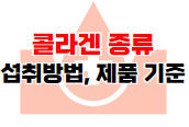 콜라겐 정보글 바로가기 이미지04