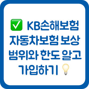 KB손해보험 자동차보험 보상 범위와 한도 알고 가입하기