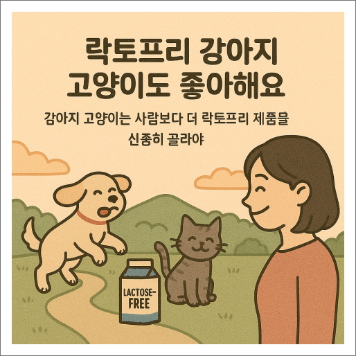 락토프리 유산균 강아지 고양이도 좋아해요