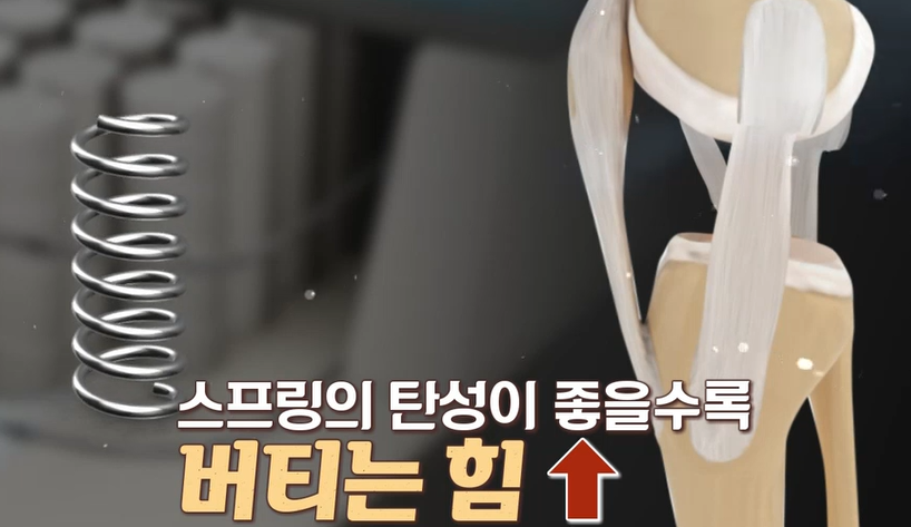 프로테오글리칸 효능 