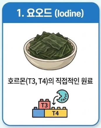 갑상선에 좋은 음식