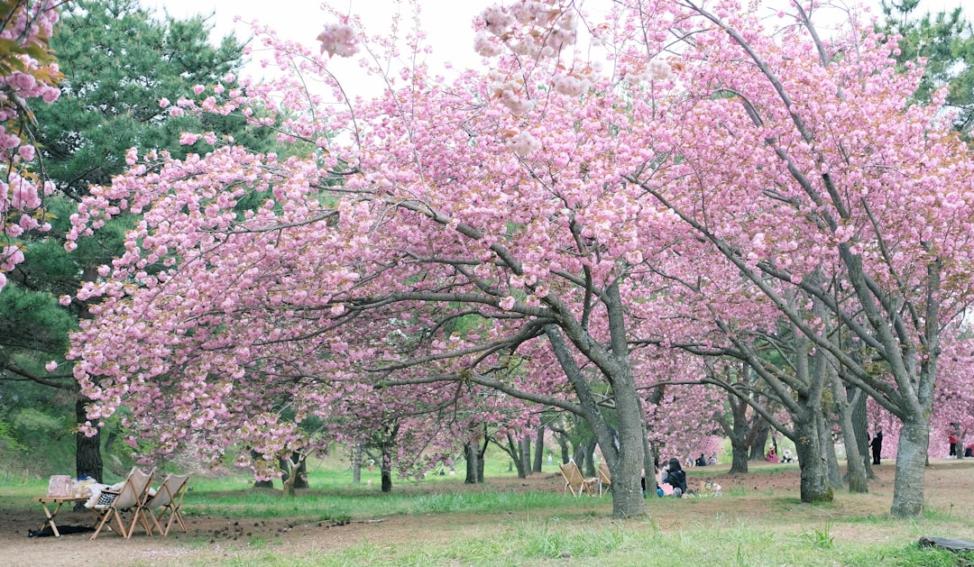 Gyeongju