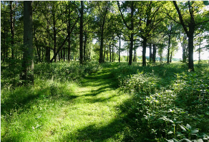 향로산 자연휴양림 예약