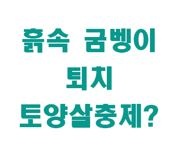 흙속 굼벵이 퇴치 썸네일