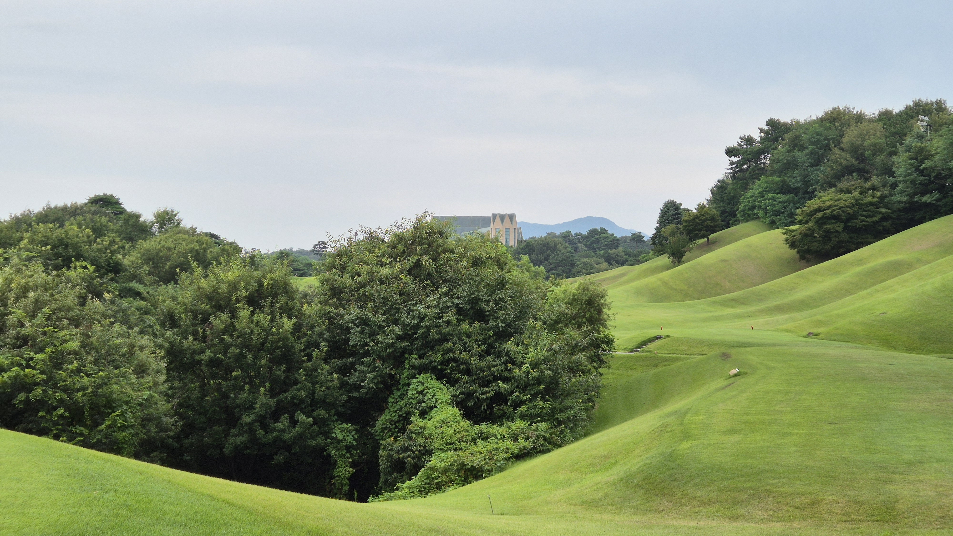 한림용인cc 다이아몬드-사파이어 코스 사진 및 공략 정보