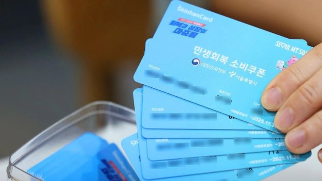 민생 지원금 신청 프로세스 및 자격 조회 방법