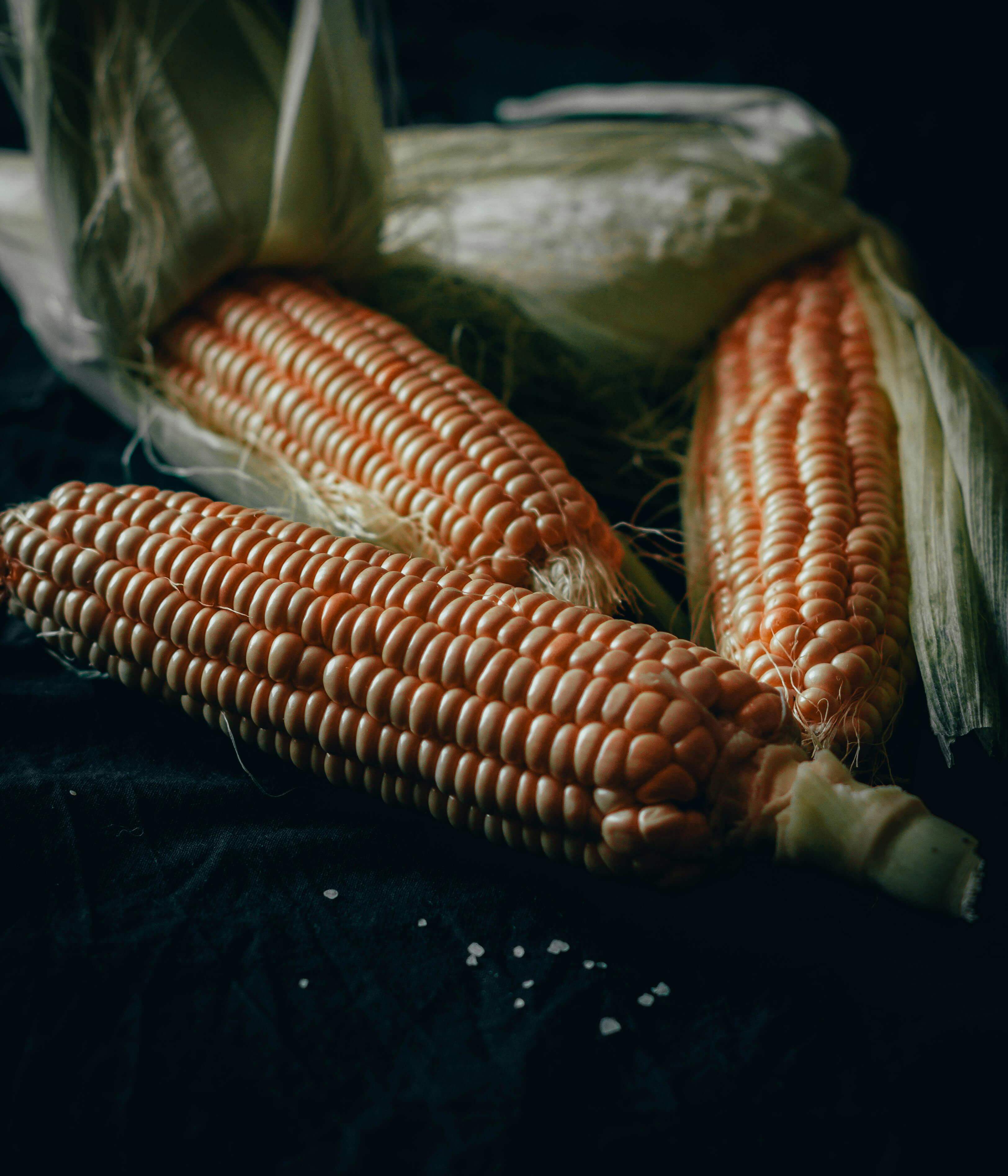 초당-옥수수-효능-삶는법-보관법-한번에-알아보기