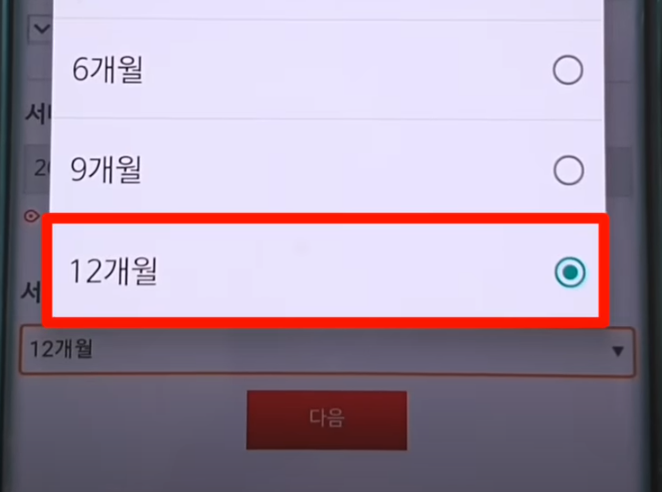 3개월을 선택