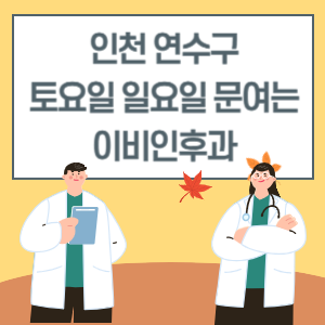 인천 연수구 토요일 일요일 이비인후과 진료 병원 리스트