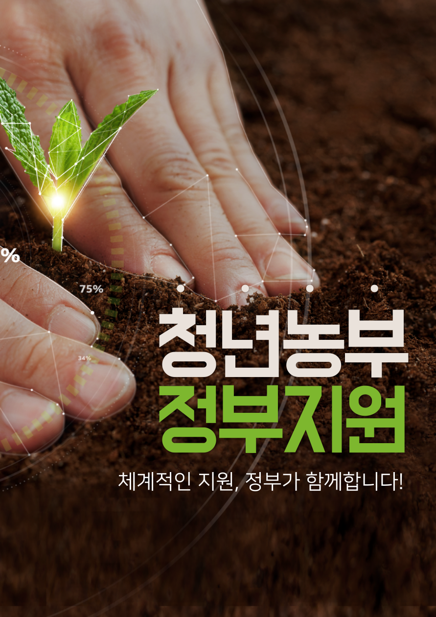청년 지원사업 관련 사진