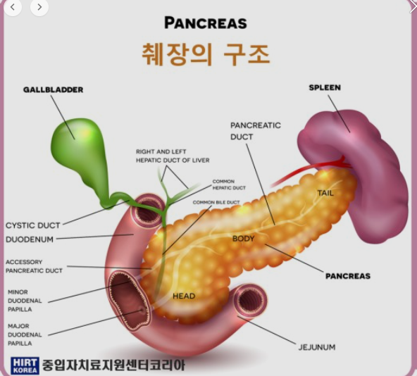 유상철 췌장암 실명 사망