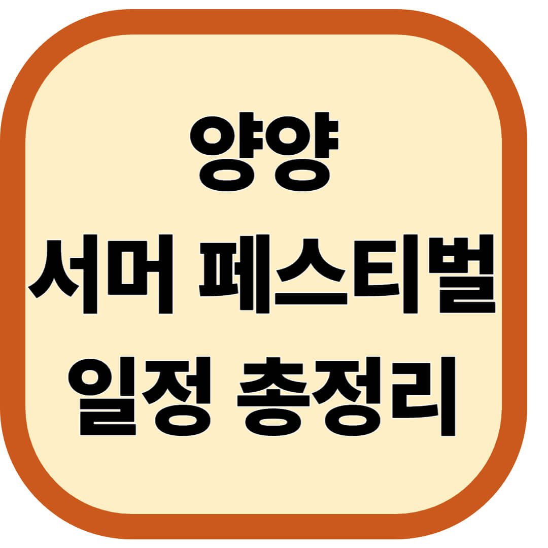 양양 서머 페스티벌 일정