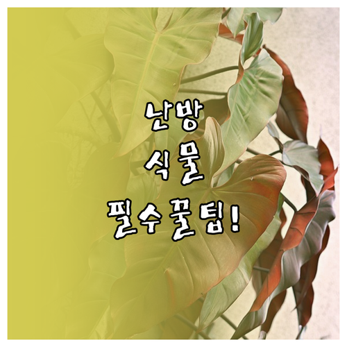 난방 환경 실내 식물 최적 온도 15..
