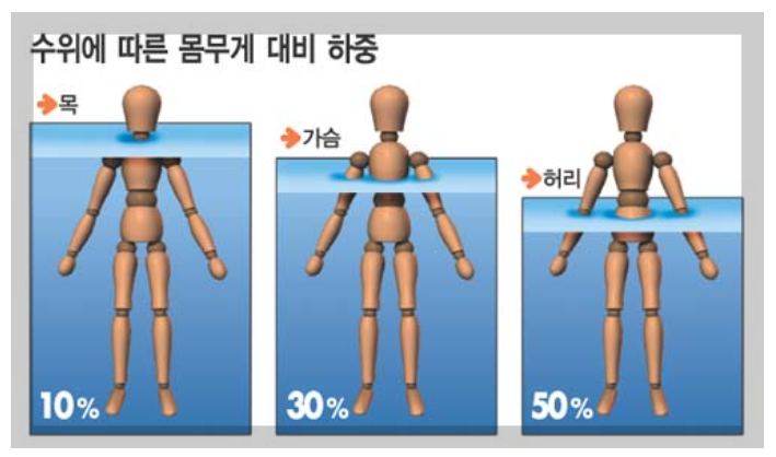 수위에 따른 몸무게 하중