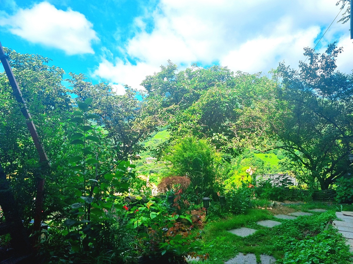 하동 도재명차: 한국의 치앙마이에서 즐기는 차 명인의 티코스와 숙소 도재 스테이
