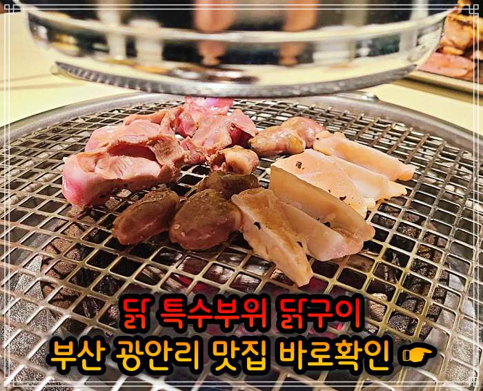 모닝 투데이 부산 광안리 닭고기 모둠구이 맛집