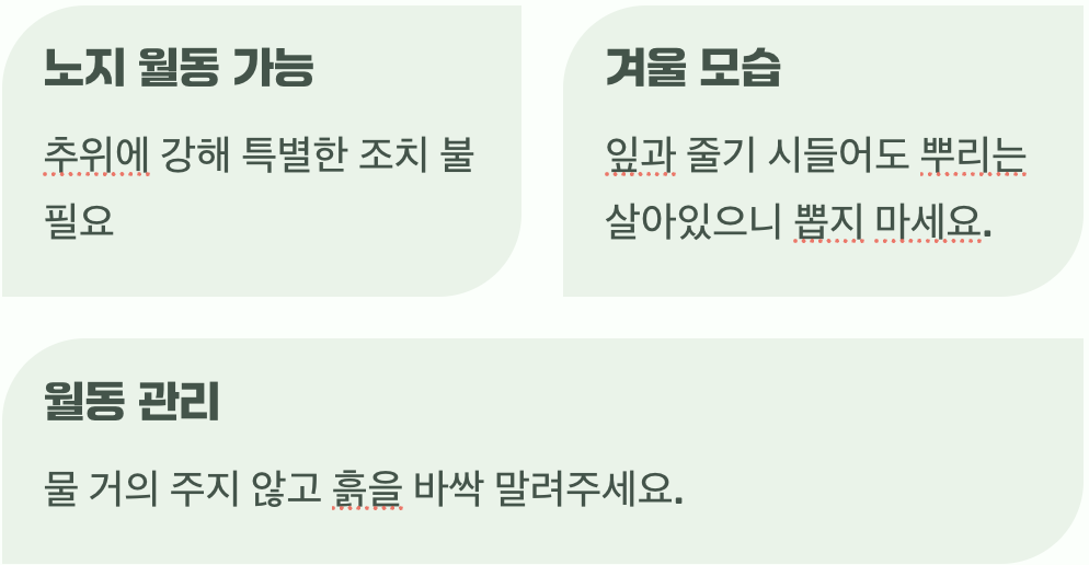 추위를 이겨내는 겨울나기 비법