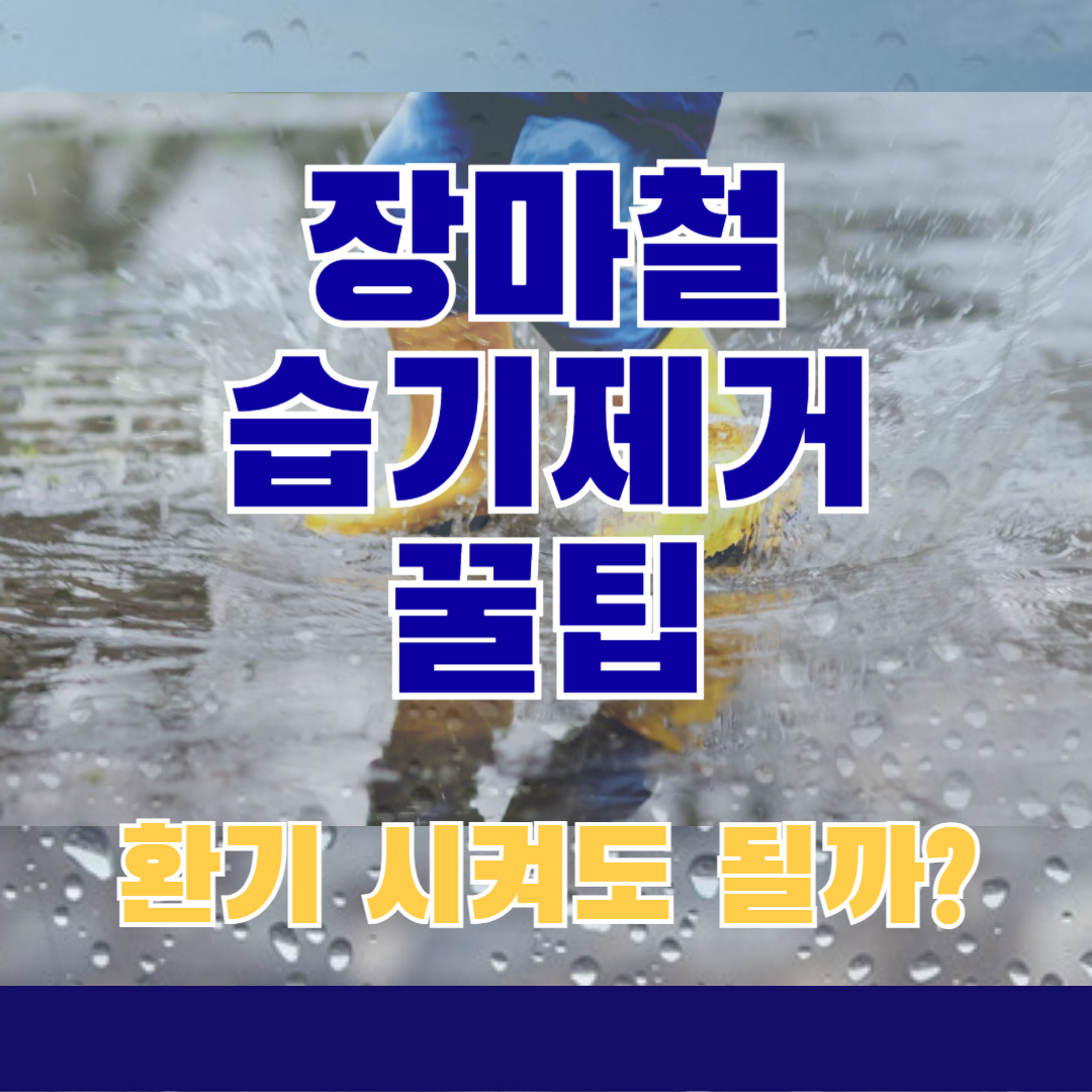 장마철 습기 제거 방법, 환기해도 괜찮을까