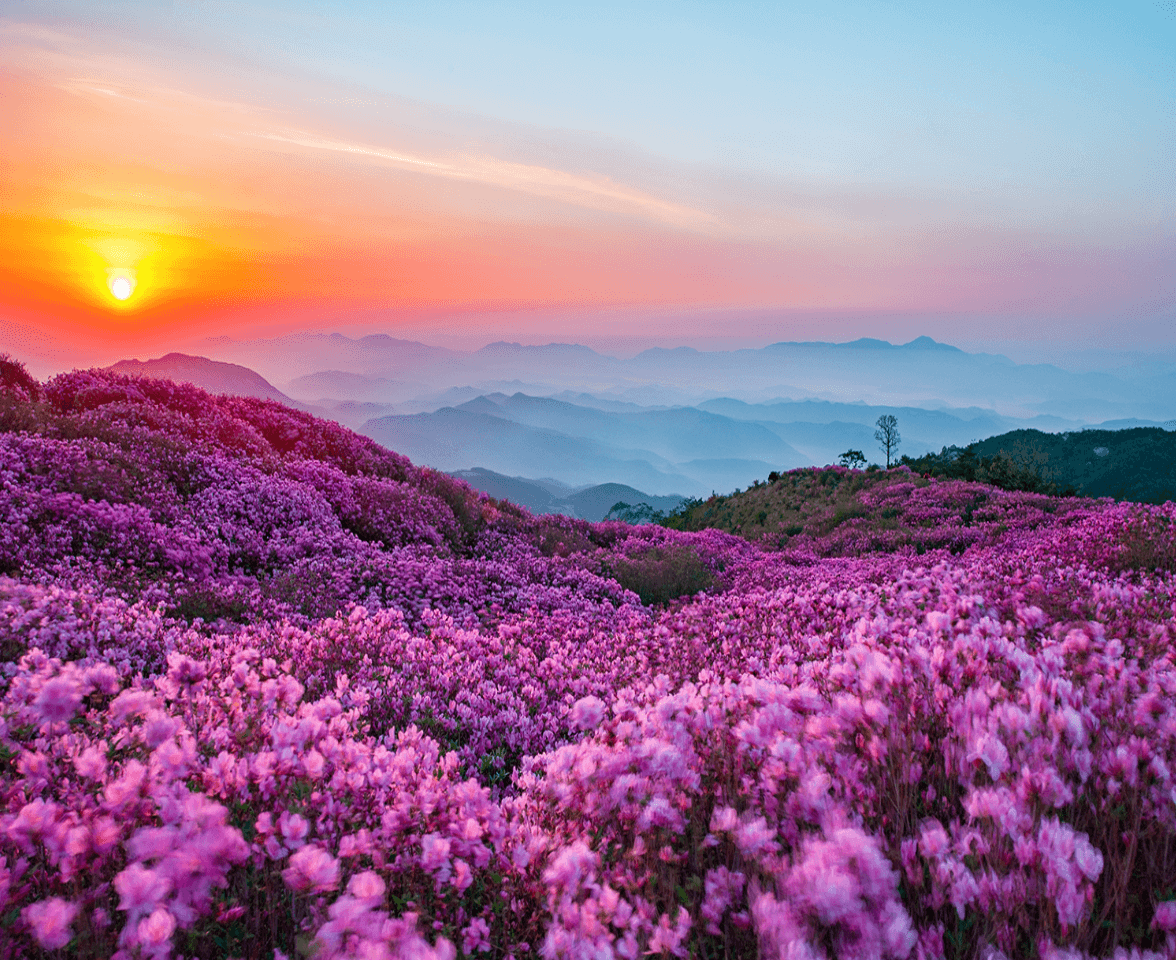 전남 야경명소 TOP3 (여수&amp;#44; 순천&amp;#44; 목포)
