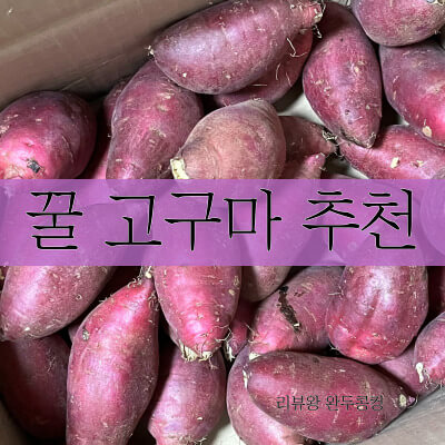 도시농장 X 스키니피그 - 로얄벌꿀고구마 - 프리미엄 고구마 추천 - 내돈내산 - 썸네일