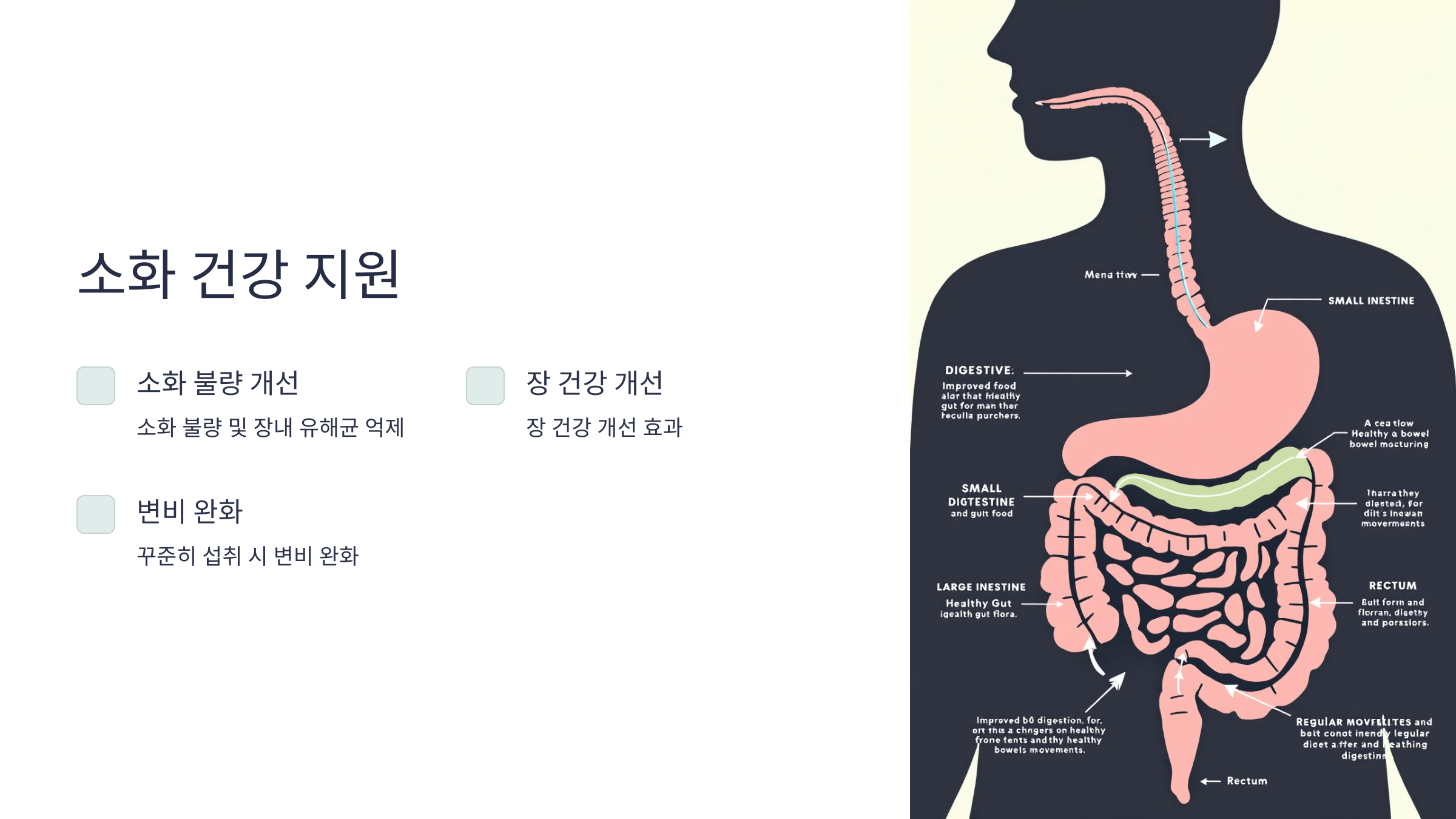 어성초 사진입니다.
