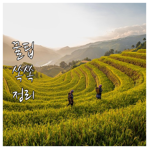 은평구 대형폐기물 신고, 클릭 한 번..