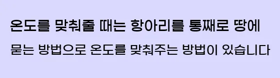  온도를 맞춰줄 때는 항아리를 통째로 땅에 묻는 방법으로 온도를 맞춰주는 방법이 있습니다