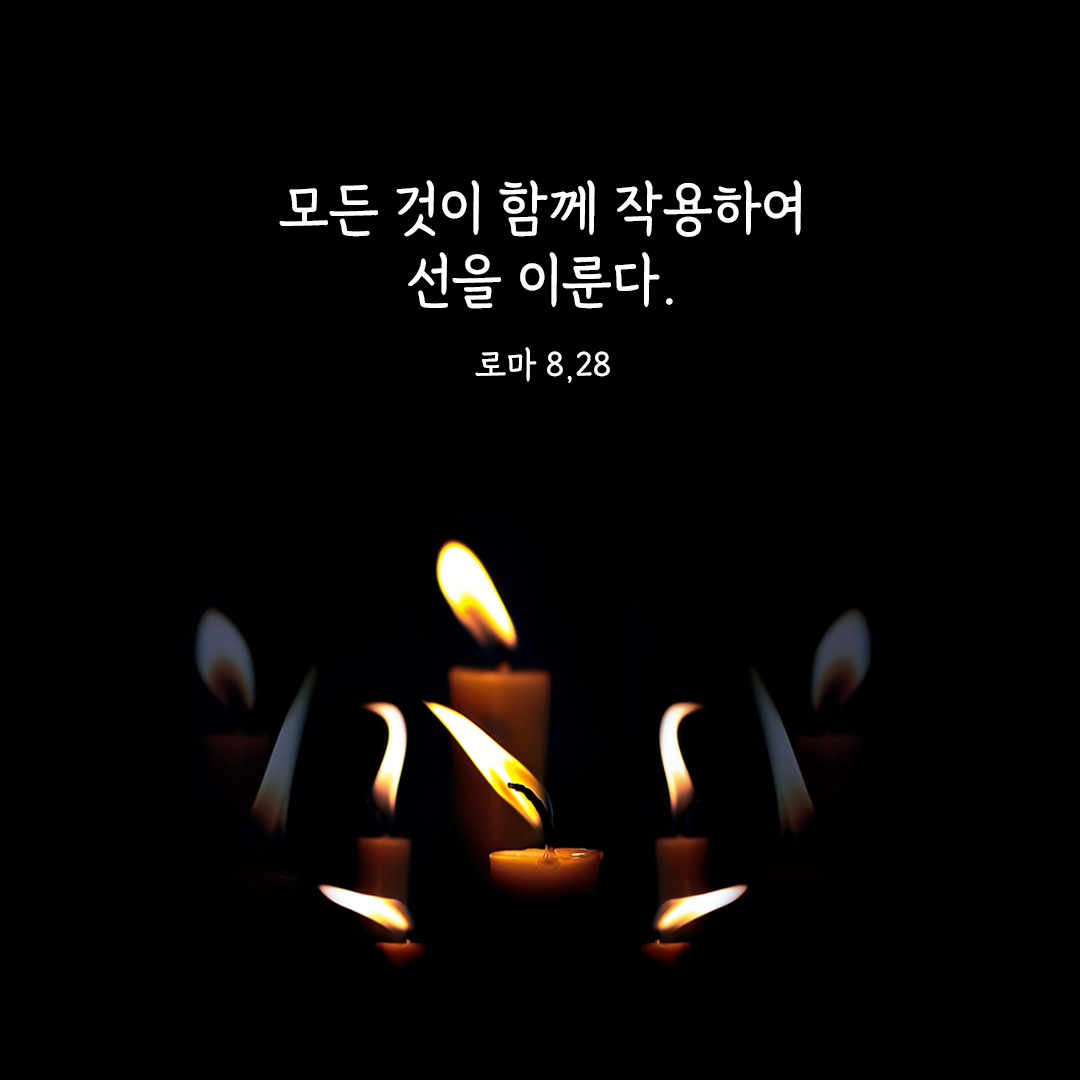 모든 것이 함께 작용하여 선을 이룬다. (로마 8,28) 로마서 성경 말씀 카드 이미지 다운로드