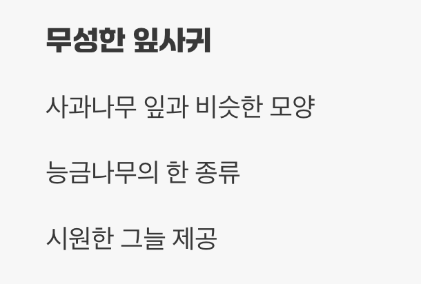 여름: 시원한 그늘과 풋풋한 열매