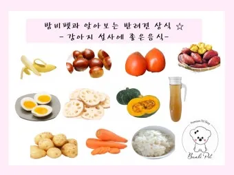 설사에 좋은 음식 총정리 소화기 건강 식단_4