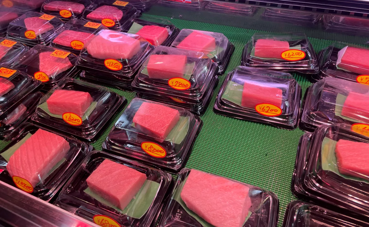 쿠로몬시장-마구로야쿠로긴-쇼케이스에-진열된-참치