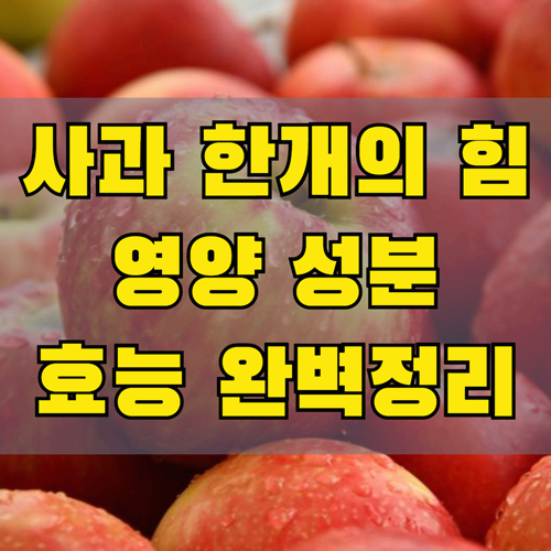 매일 사과 한 개의 힘!