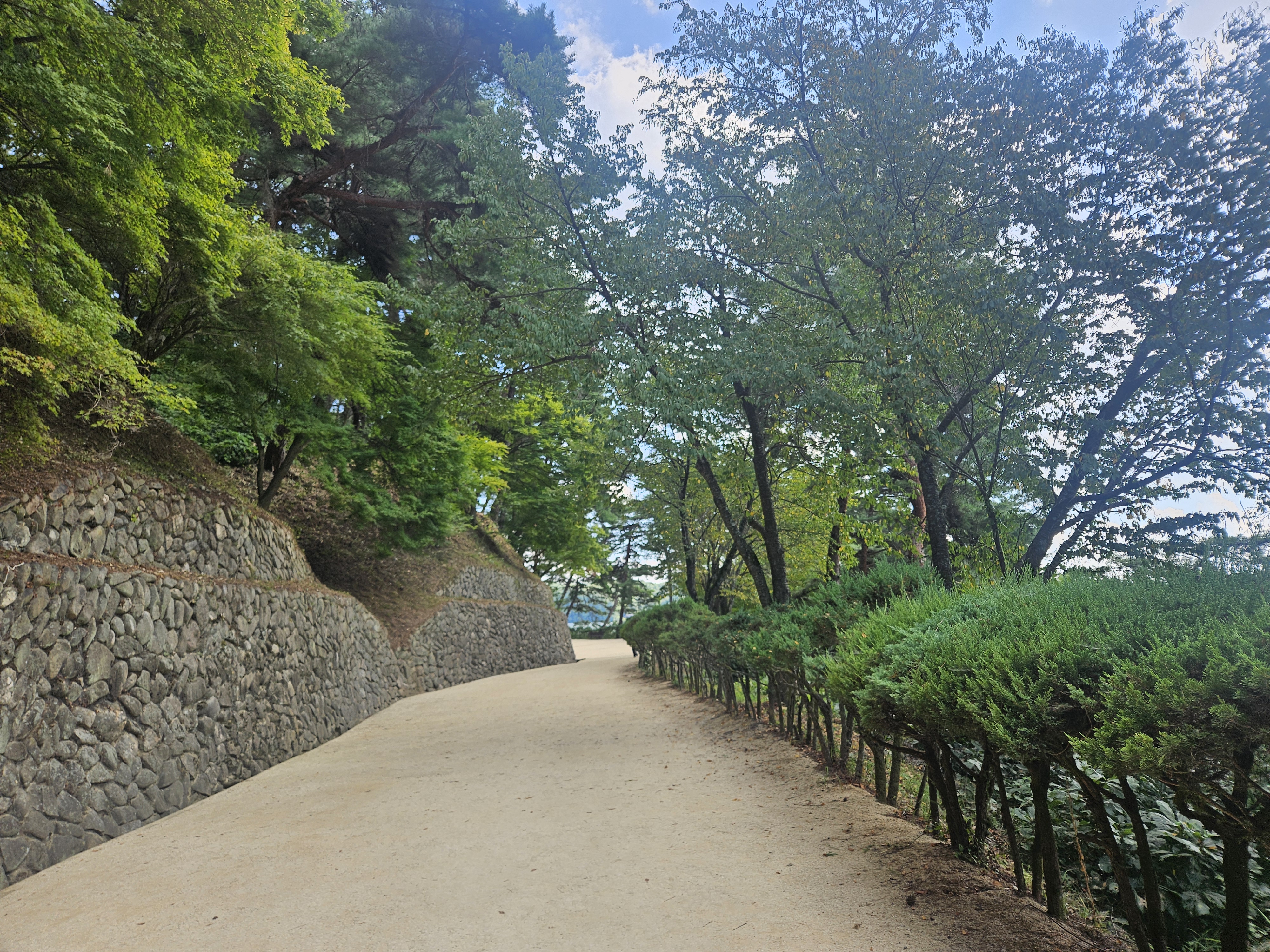 안동 도산서원, 딸과 함께한 여름날의 힐링 여행 – 외국여행 온 줄 알았어요 관련 사진