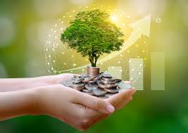 사회초년생 재테크 전략