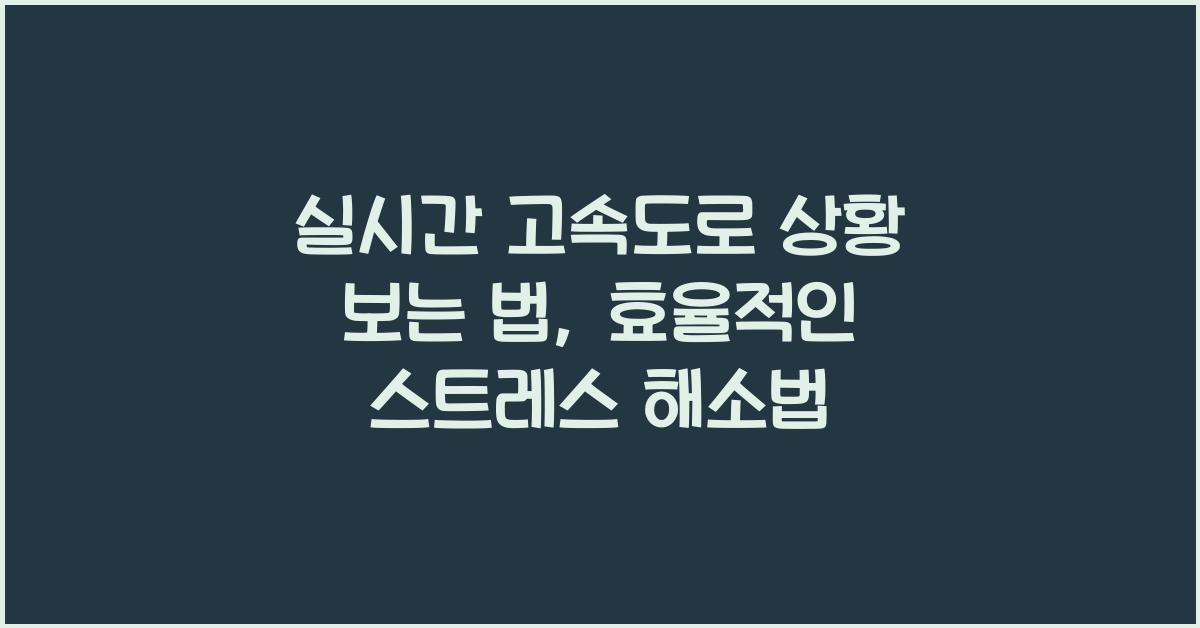 실시간 고속도로 상황 보는 법
