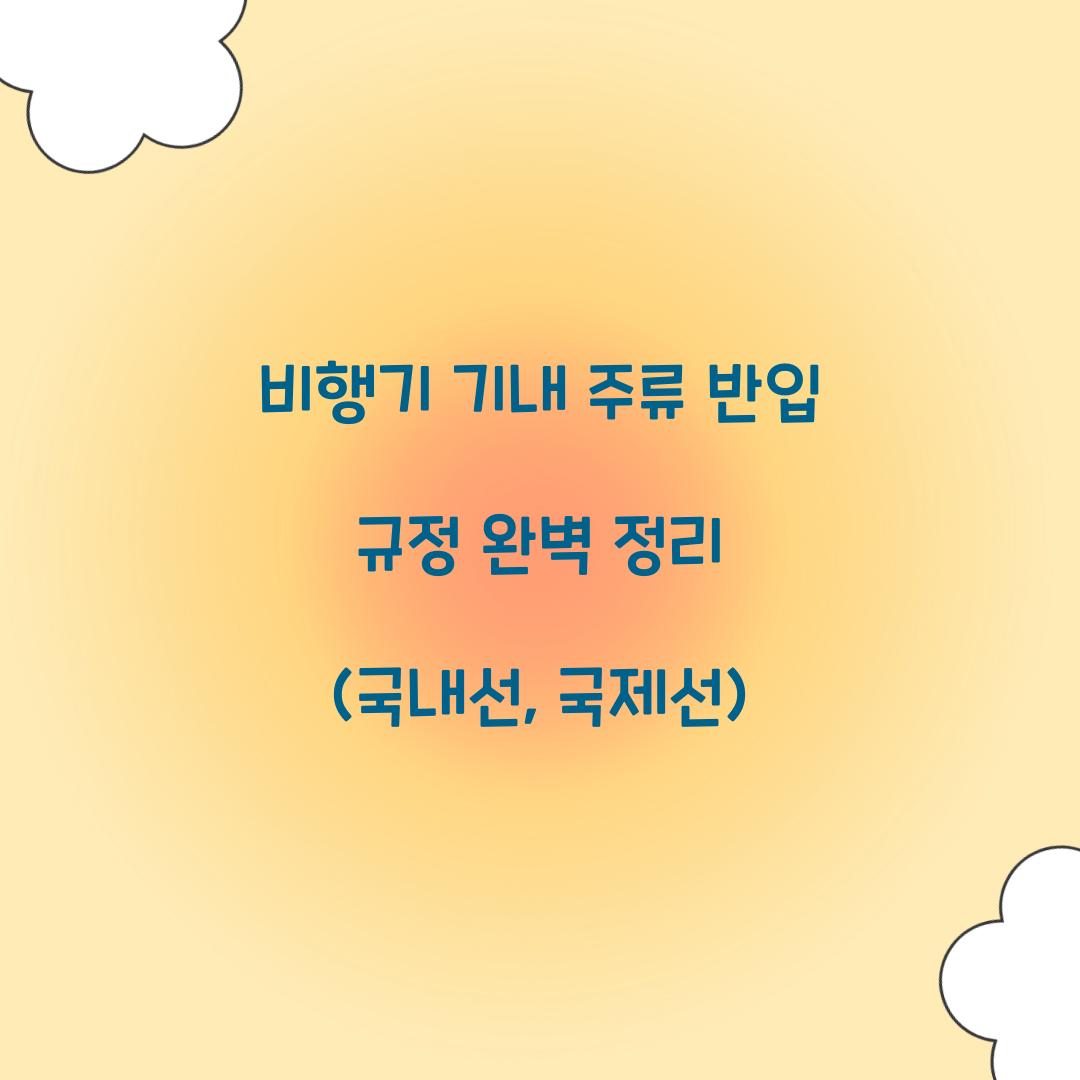 비행기 기내 주류 반입
